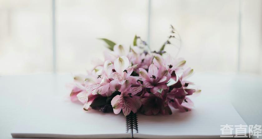 查直降,查直降官网,论文检测,论文修改